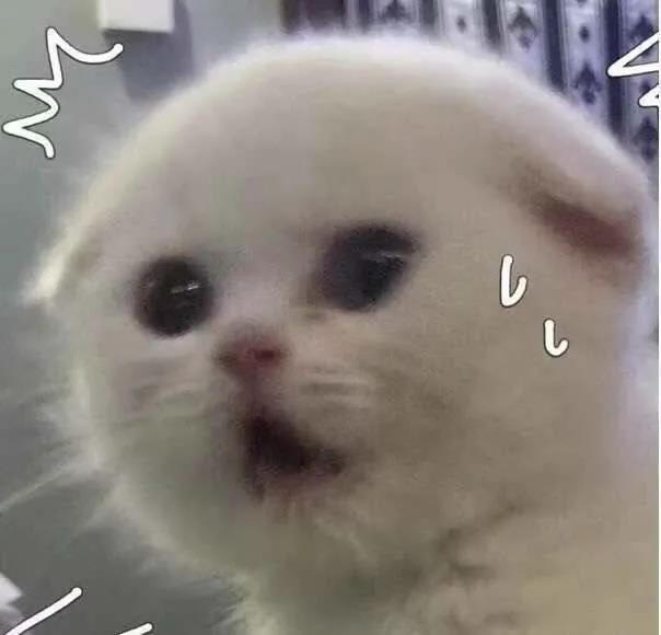 POLLY PLUS测评:一根棒棒两头耍,可以嗨到嗓子哑7 POLLY PLUS测评:一根棒棒两头耍,可以嗨到嗓子哑7