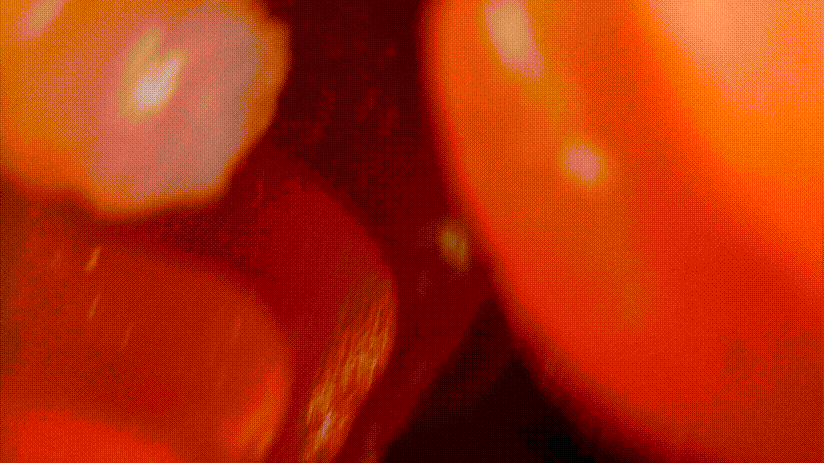 我拿下女神的秘诀就是它!–评测TMT“彼女姐姐”名器!真香!18 我拿下女神的秘诀就是它!–评测TMT“彼女姐姐”名器!真香!18