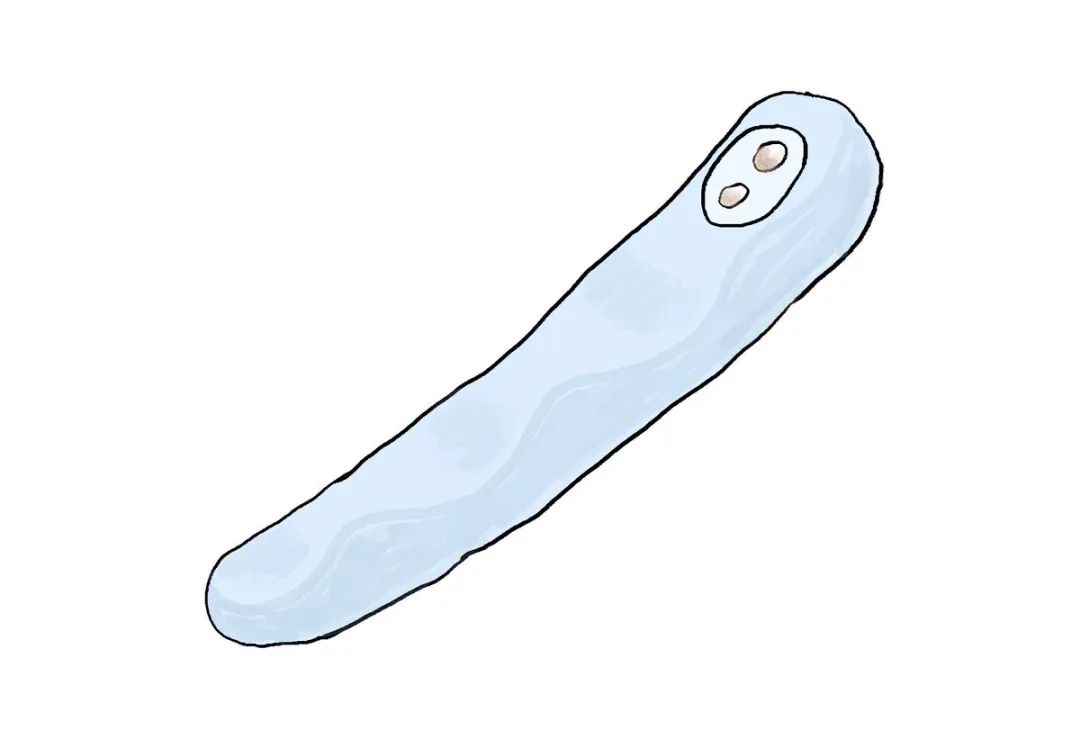 情趣玩具测评— iroha FIT 水中月14 情趣玩具测评— iroha FIT 水中月14