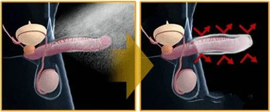要啪啪啪多久,女生才会觉得爽?6 要啪啪啪多久,女生才会觉得爽?6