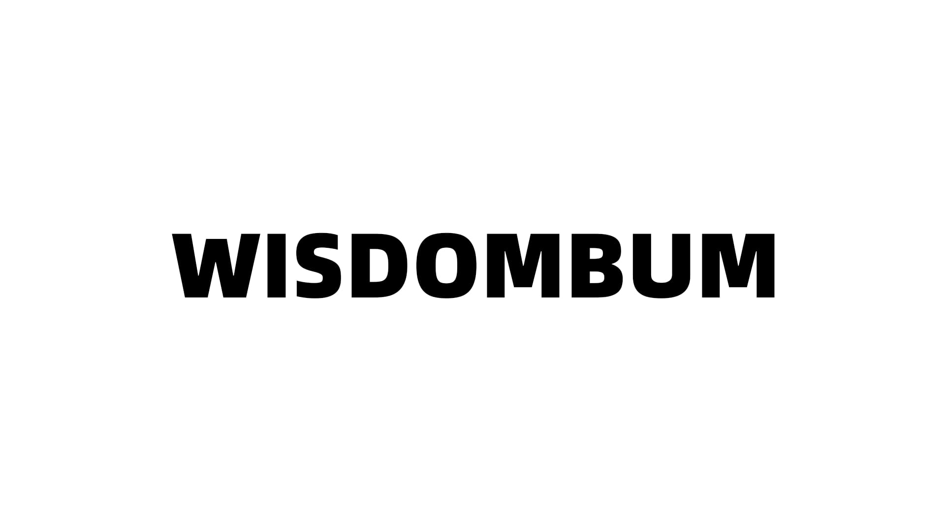 美国WisdomBum飞机杯品牌百科-B哥情报局-飞机杯测评